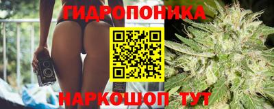 гидра Бузулук