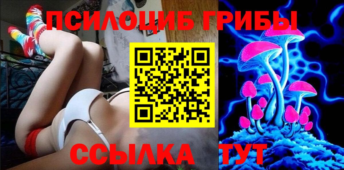 Псилоцибиновые грибы Cubensis  купить  цена  Минусинск  Вход с VPN 